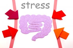 腸活とストレス性の腹痛について、ストレスは腸内環境にも悪影響を与えます。