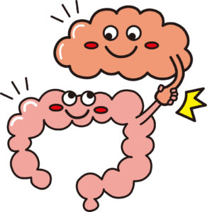 腸活とセロトニン、「腸は第二の脳」と言われています。