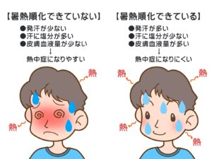 熱中症予防と酵素風呂、暑熱順化とは？