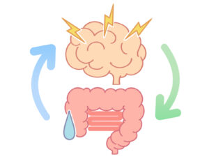 お腹の張り（膨満感）と腸活、自律神経が乱れる原因。