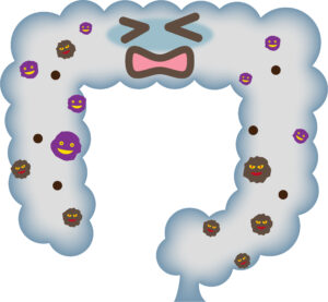 腸活のデメリット、腸内細菌が過剰に増えすぎると腸内環境が悪化する？